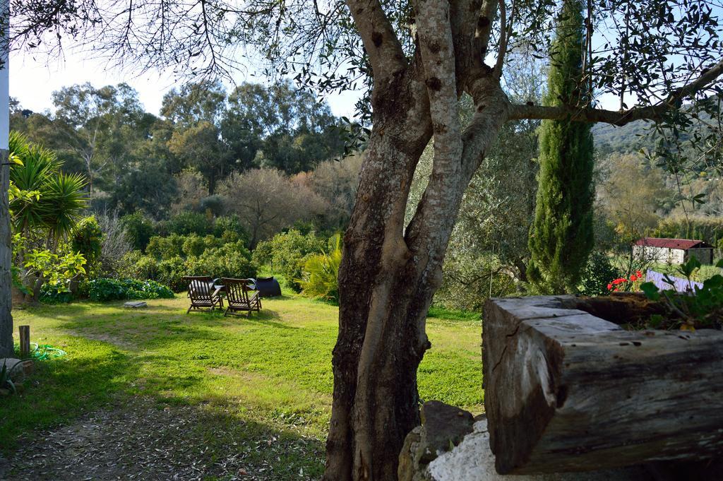 Casa Rural Ahora Guest House El Colmenar Bagian luar foto