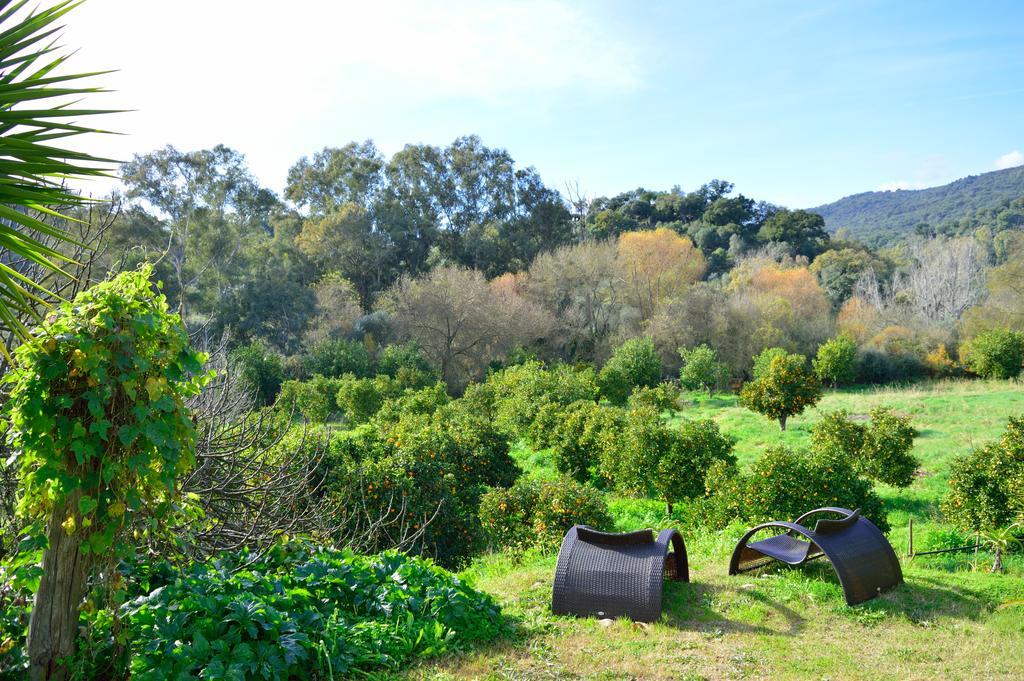 Casa Rural Ahora El Colmenar Bagian luar foto