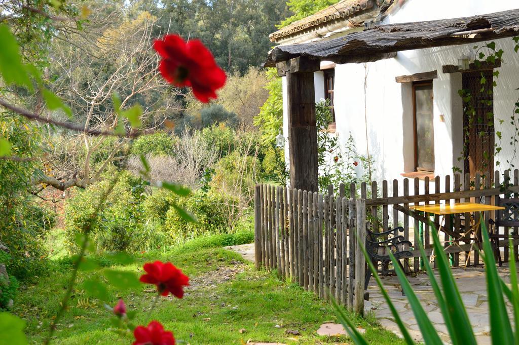 Casa Rural Ahora El Colmenar Bagian luar foto